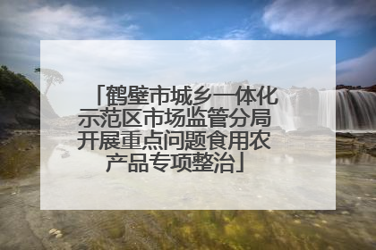 鹤壁市城乡一体化示范区市场监管分局开展重点问题食用农产品专项整治