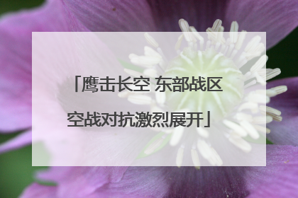 鹰击长空 东部战区空战对抗激烈展开