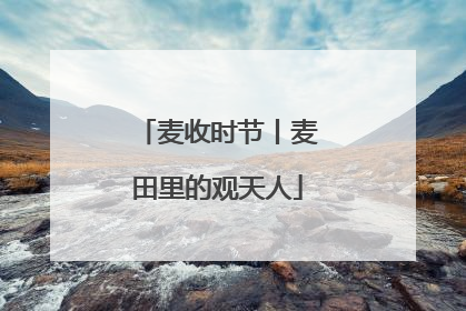 麦收时节丨麦田里的观天人