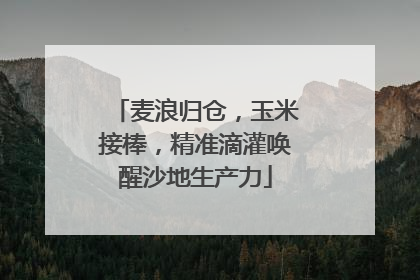 麦浪归仓，玉米接棒，精准滴灌唤醒沙地生产力
