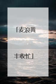 麦浪黄 丰收忙