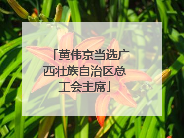 黄伟京当选广西壮族自治区总工会主席