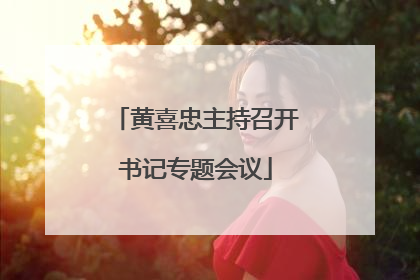 黄喜忠主持召开书记专题会议