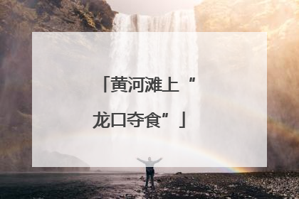 黄河滩上“龙口夺食”