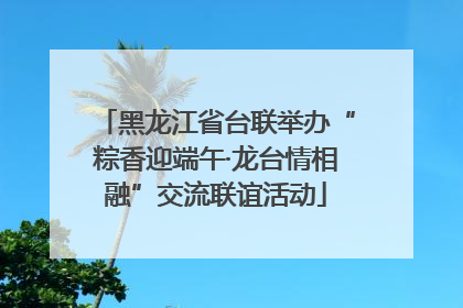 黑龙江省台联举办“粽香迎端午·龙台情相融”交流联谊活动