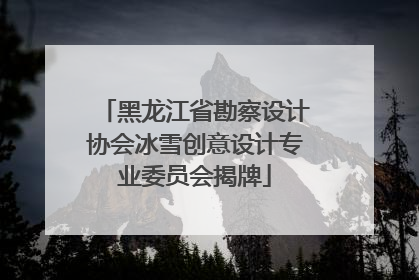 黑龙江省勘察设计协会冰雪创意设计专业委员会揭牌