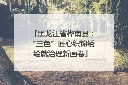 黑龙江省桦南县：“三色”匠心织锦绣 绘就治理新画卷
