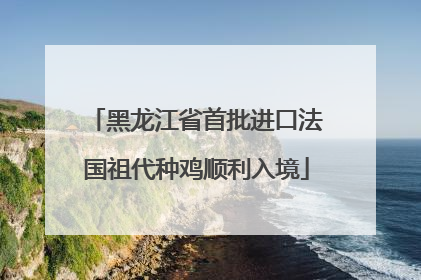 黑龙江省首批进口法国祖代种鸡顺利入境