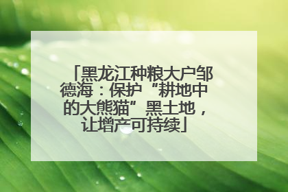 黑龙江种粮大户邹德海：保护“耕地中的大熊猫”黑土地，让增产可持续