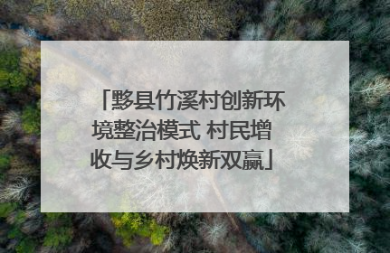 黟县竹溪村创新环境整治模式 村民增收与乡村焕新双赢