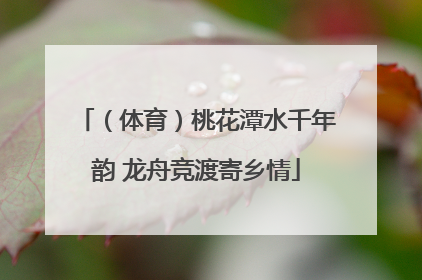 （体育）桃花潭水千年韵 龙舟竞渡寄乡情