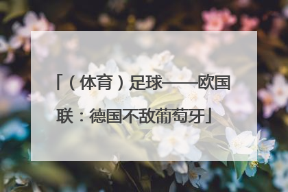 （体育）足球——欧国联：德国不敌葡萄牙