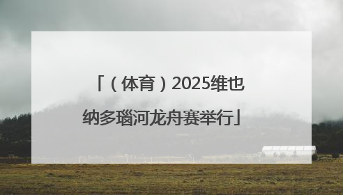 （体育）2025维也纳多瑙河龙舟赛举行