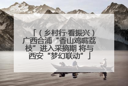 （乡村行·看振兴）广西合浦“香山鸡嘴荔枝”进入采摘期 将与西安“梦幻联动”