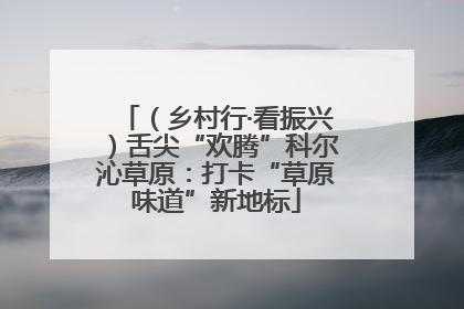 （乡村行·看振兴）舌尖“欢腾”科尔沁草原：打卡“草原味道”新地标
