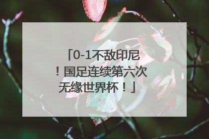 0-1不敌印尼！国足连续第六次无缘世界杯！
