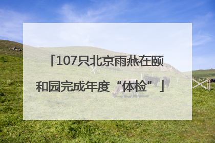 107只北京雨燕在颐和园完成年度“体检”