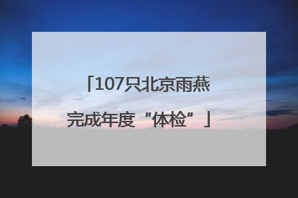 107只北京雨燕完成年度“体检”