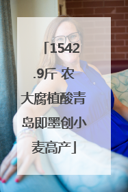 1542.9斤 农大腐植酸青岛即墨创小麦高产