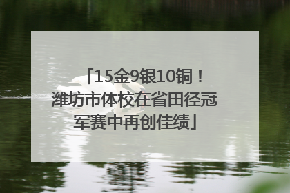 15金9银10铜！潍坊市体校在省田径冠军赛中再创佳绩