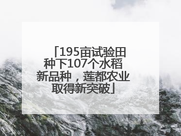 195亩试验田种下107个水稻新品种，莲都农业取得新突破