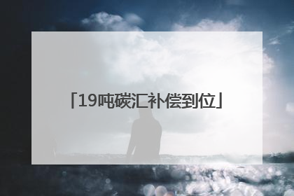 19吨碳汇补偿到位