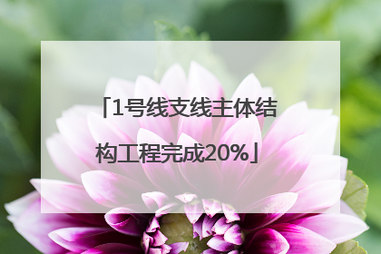 1号线支线主体结构工程完成20%