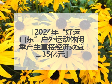 2024年“好运山东”户外运动休闲季产生直接经济效益1.35亿元