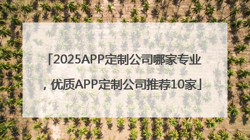 2025APP定制公司哪家专业，优质APP定制公司推荐10家
