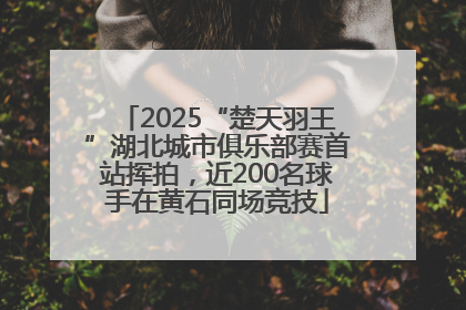 2025“楚天羽王”湖北城市俱乐部赛首站挥拍，近200名球手在黄石同场竞技