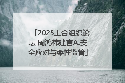 2025上合组织论坛 周鸿祎建言AI安全应对与柔性监管