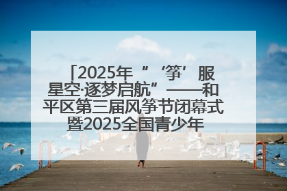 2025年“‘筝’服星空·逐梦启航”——和平区第三届风筝节闭幕式 暨2025全国青少年风筝制作放飞赛（沈阳站）颁奖仪式