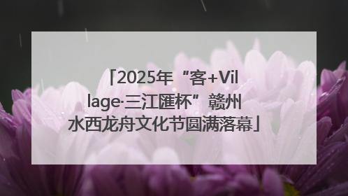2025年“客+Village·三江匯杯”赣州水西龙舟文化节圆满落幕