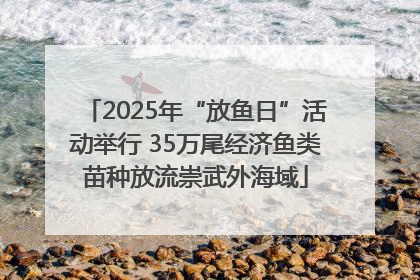 2025年“放鱼日”活动举行 35万尾经济鱼类苗种放流崇武外海域