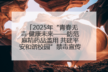 2025年“青春无毒·健康未来——防范麻精药品滥用 共建平安和谐校园”禁毒宣传专题活动在咸宁举行