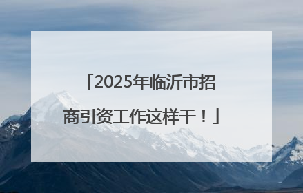 2025年临沂市招商引资工作这样干！
