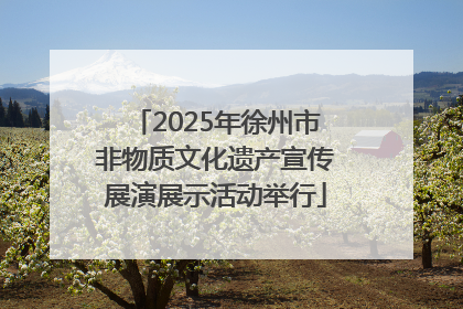 2025年徐州市非物质文化遗产宣传展演展示活动举行