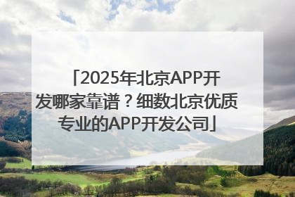 2025年北京APP开发哪家靠谱？细数北京优质专业的APP开发公司