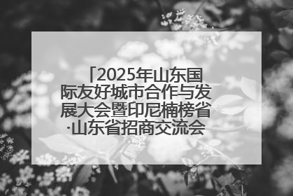 2025年山东国际友好城市合作与发展大会暨印尼楠榜省·山东省招商交流会在济南槐荫举行