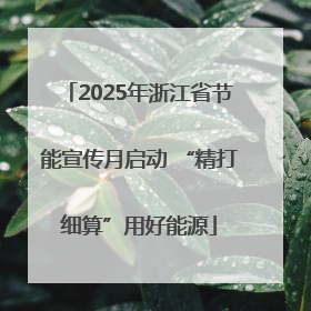2025年浙江省节能宣传月启动 “精打细算”用好能源