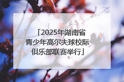 2025年湖南省青少年高尔夫球校际俱乐部联赛举行