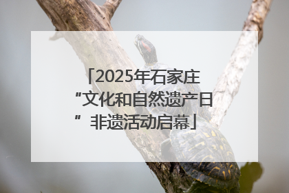 2025年石家庄“文化和自然遗产日”非遗活动启幕