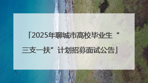 2025年聊城市高校毕业生“三支一扶”计划招募面试公告