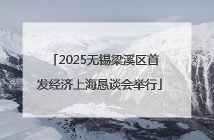 2025无锡梁溪区首发经济上海恳谈会举行