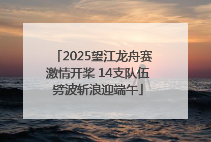 2025望江龙舟赛激情开桨 14支队伍劈波斩浪迎端午