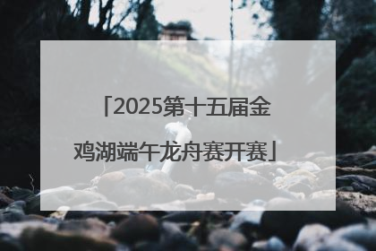 2025第十五届金鸡湖端午龙舟赛开赛