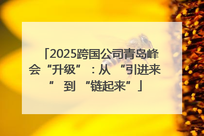 2025跨国公司青岛峰会“升级”：从 “引进来” 到 “链起来”
