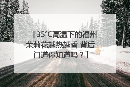 35℃高温下的福州茉莉花越热越香 背后门道你知道吗？