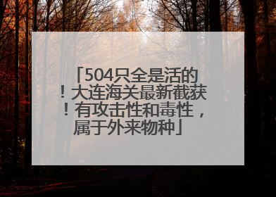 504只全是活的！大连海关最新截获！有攻击性和毒性，属于外来物种