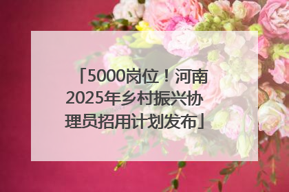 5000岗位！河南2025年乡村振兴协理员招用计划发布